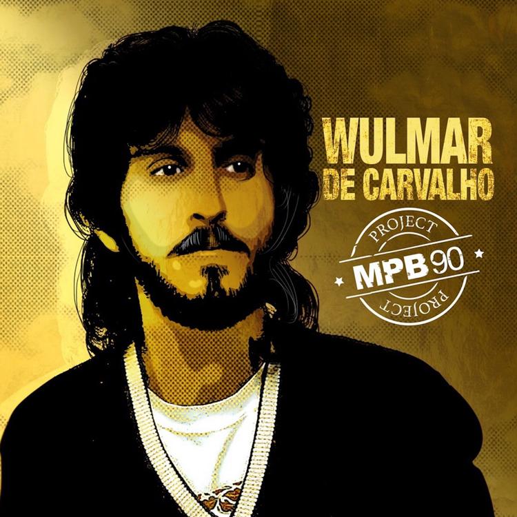 WULMAR DE CARVALHO's avatar image