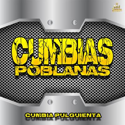 Cumbia Pulguienta's cover