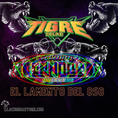 EL LAMENTO DEL OSO By Tigre Sound's cover