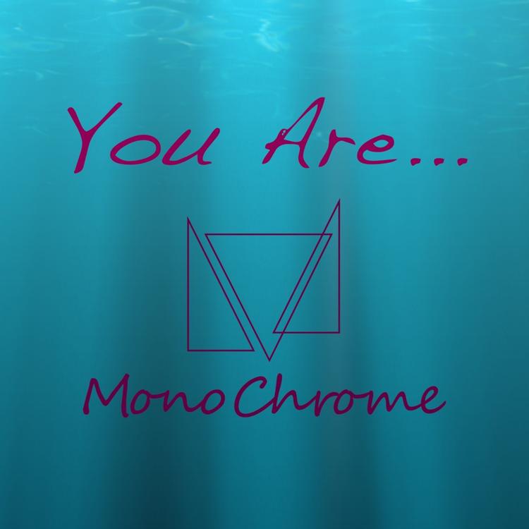 Mono Chrome's avatar image