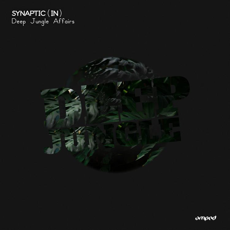 Synaptic (IN)'s avatar image