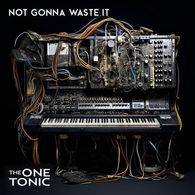 Not Gonna Waste It By The One Tonic's cover