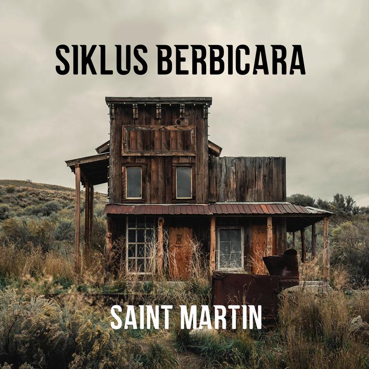 Saint Martin Music's avatar image