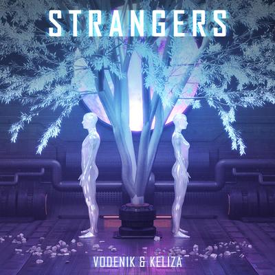 Strangers By Vodenik, KELIZA's cover