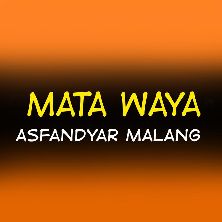 Asfandyar Malang's avatar image