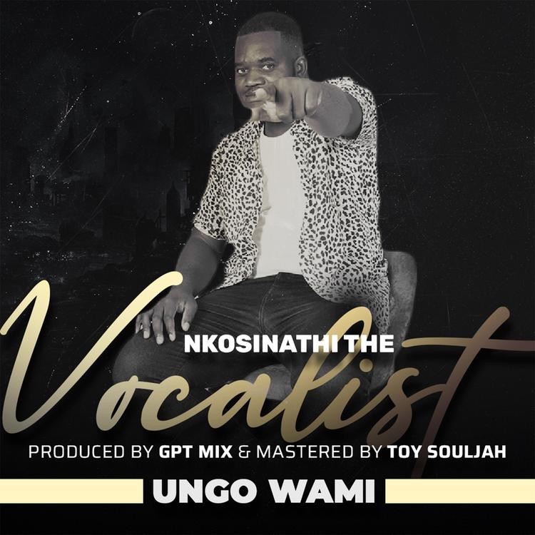 Nkosinathi The Vocalist's avatar image