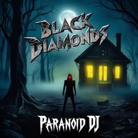 PARANOiD DJ's avatar cover