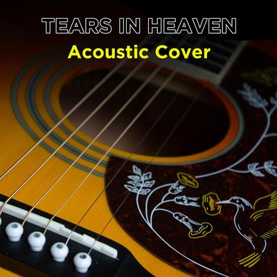 Tears In Heaven (Acoustic Instrumental) By Pm waves's cover