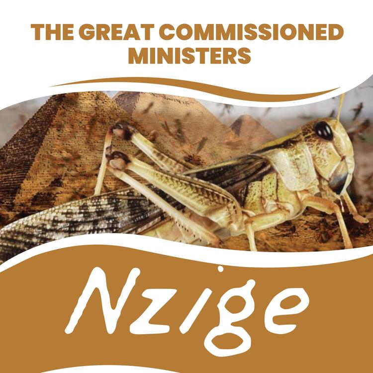 The Great Commissioned Ministers's avatar image