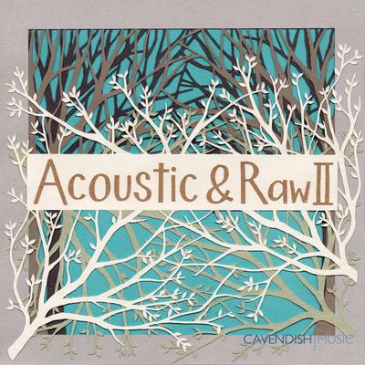 Acoustic & Raw, Vol. 2's cover