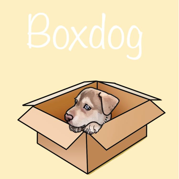 Boxdog's avatar image