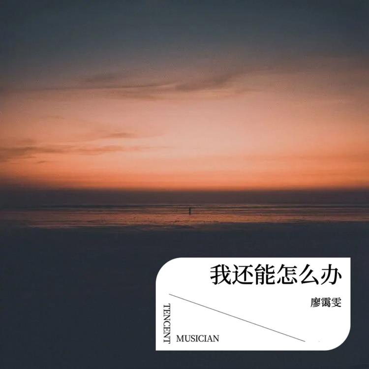 廖霭雯's avatar image