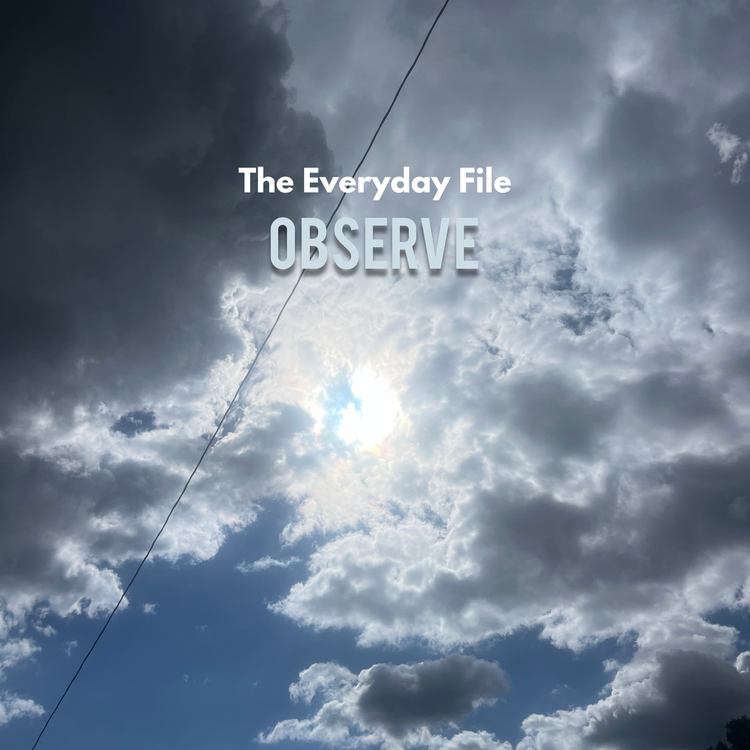 The Everyday File's avatar image