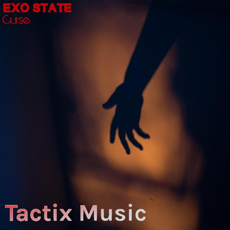 Exo State's avatar image