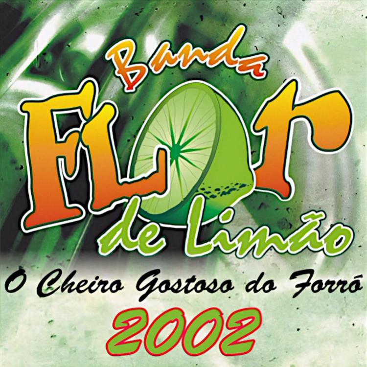 Banda Flor de Limão's avatar image