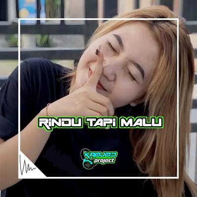 AKU RINDU TAPI MALU's cover