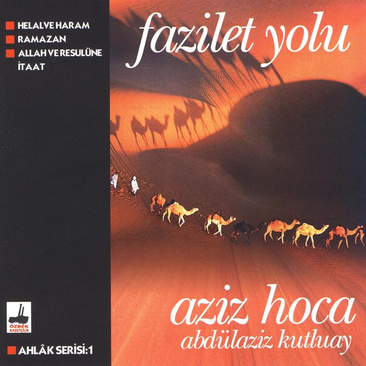 Abdülaziz Kutluay's avatar image