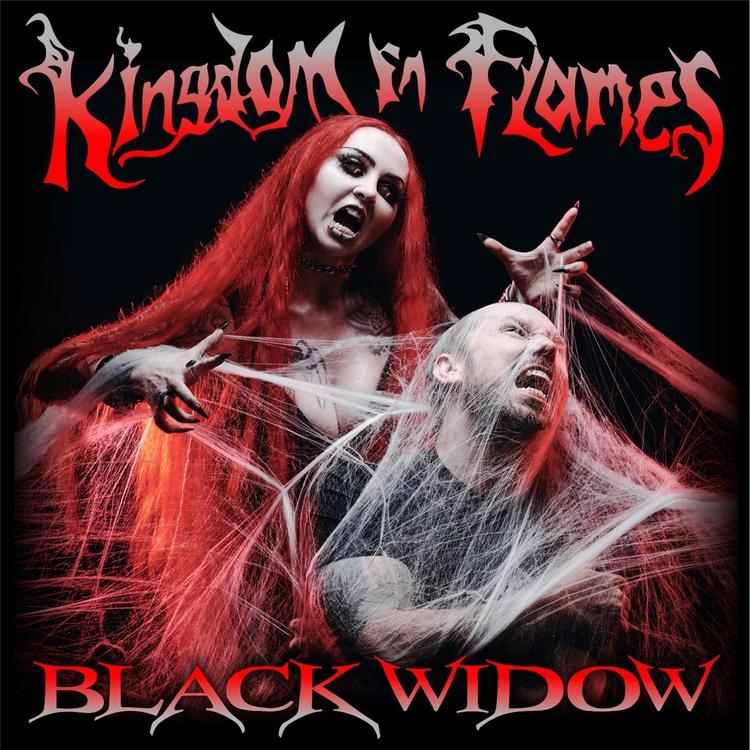 Kingdom in Flames's avatar image