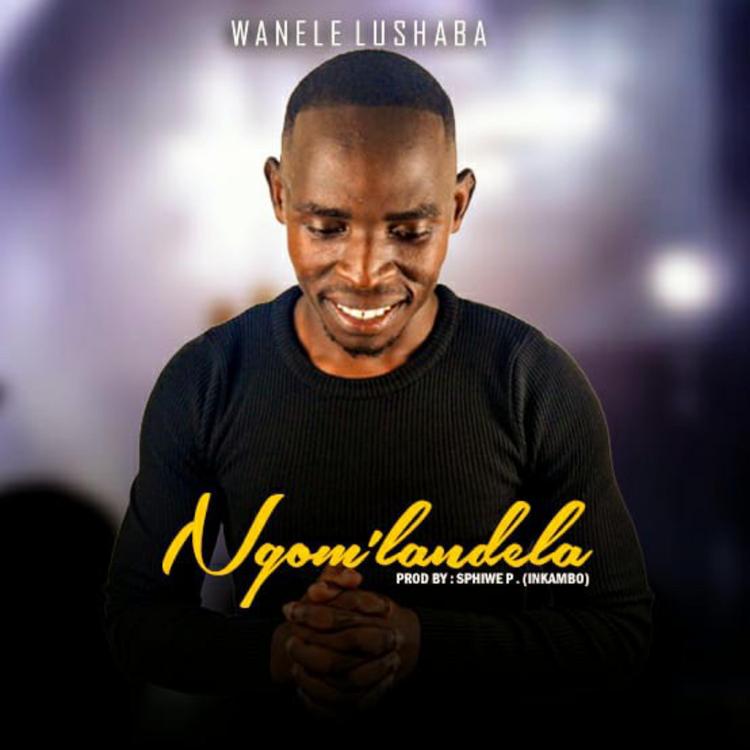 Wanele Lushaba's avatar image