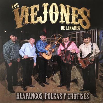 Huapangos, Polkas y Chotises's cover