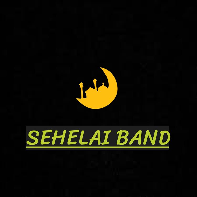 Sehelai Band's avatar image