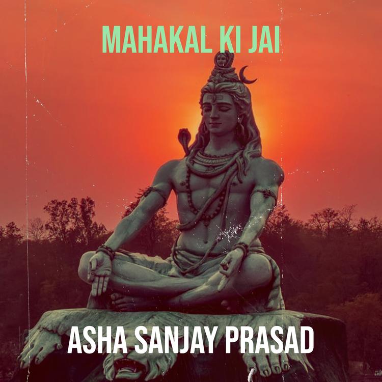 Asha Sanjay Prasad's avatar image