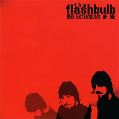 Lucid Bass I By The Flashbulb's cover