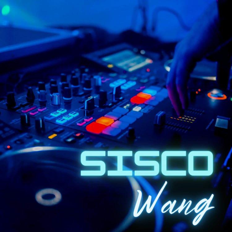 SiscoWang's avatar image