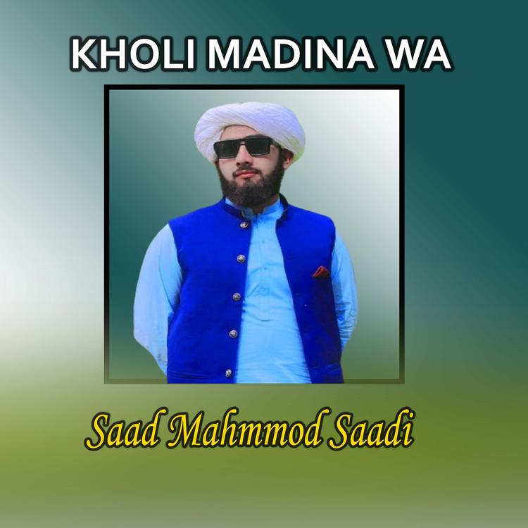 Saad Mahmmod Saadi's avatar image