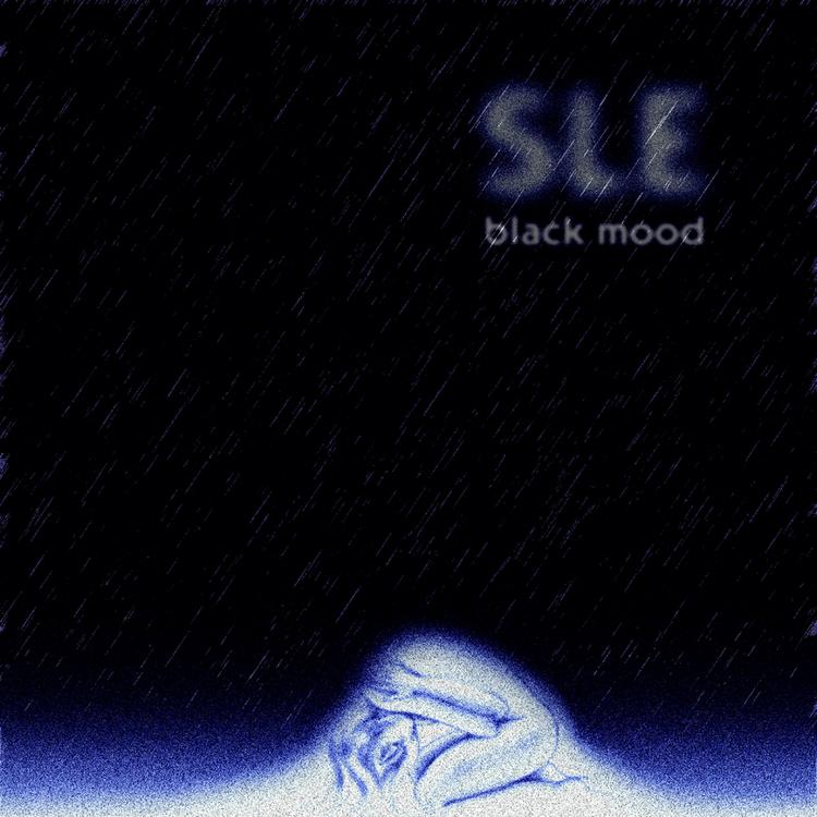 SLE's avatar image