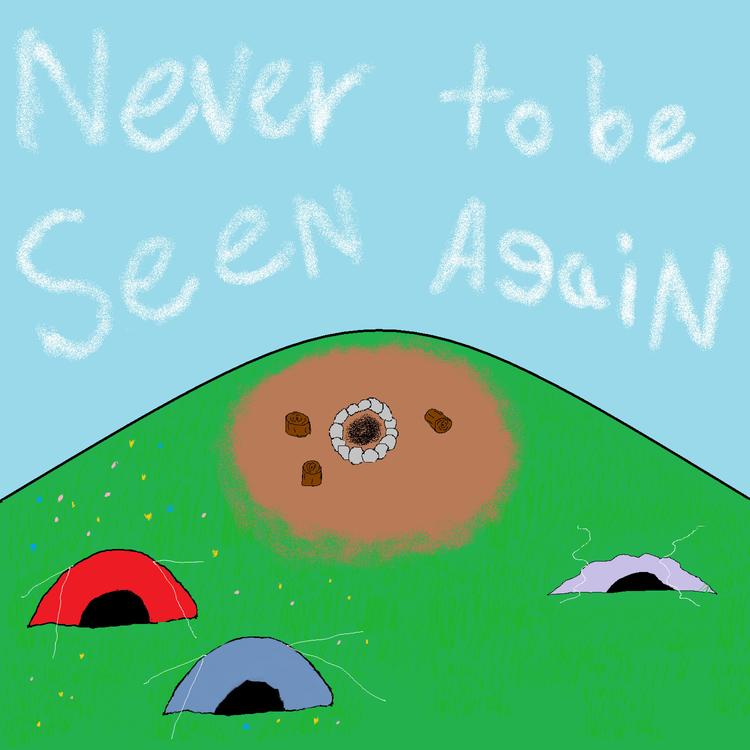 Never to be Seen Again's avatar image