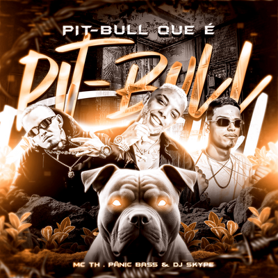 PitBull Que é Pitbull's cover