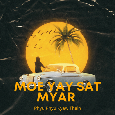 Phyu Phyu Kyaw Thein's cover