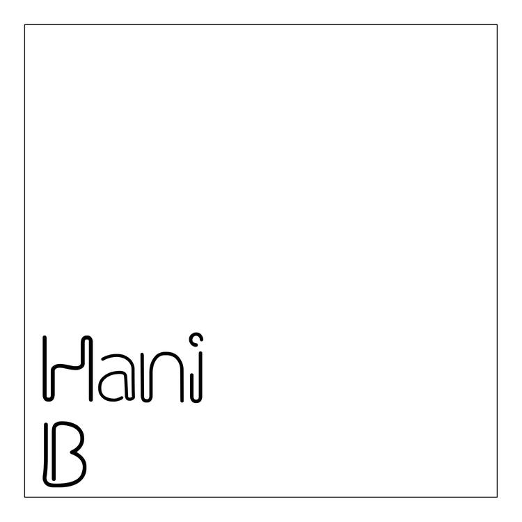 DJ Hani B's avatar image