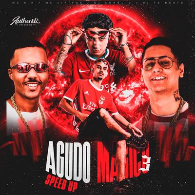 Agudo Mágico 3 Speed Up By Dj Aurelio, MC Lipivox, DJ TG Beats, MC K.K's cover