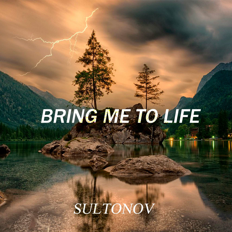 Sultonov's avatar image