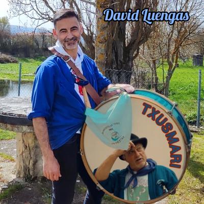 David Luengas's cover