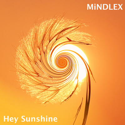 Hey Sunshine (Remix)'s cover