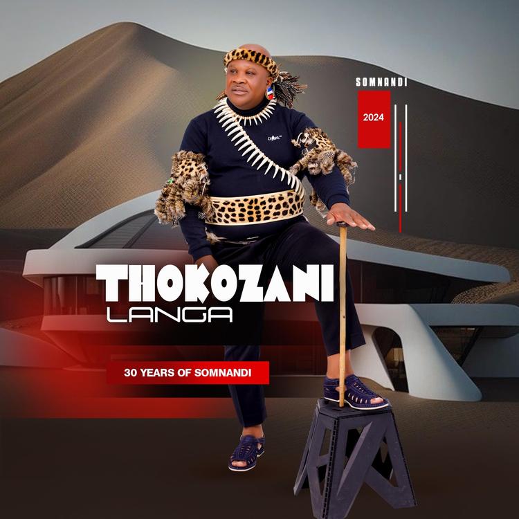 Thokozani Langa's avatar image