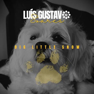 Luís Gustavo Soares's cover