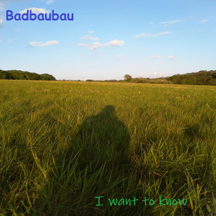 Badbaubau's avatar image