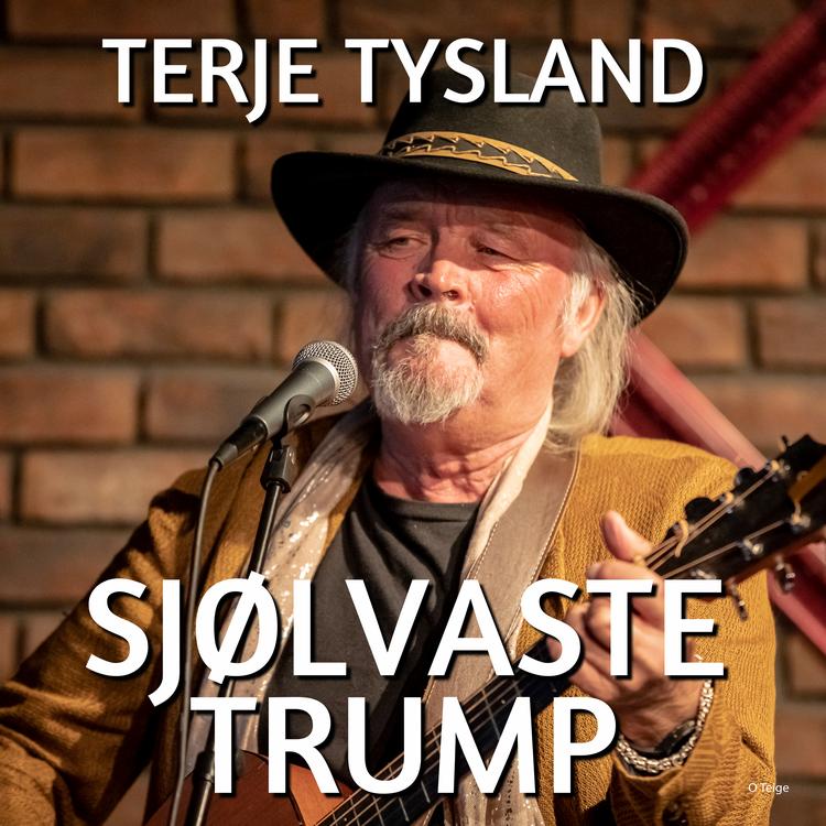 Terje Tysland's avatar image