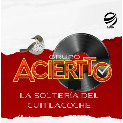 Grupo Aciertto's cover