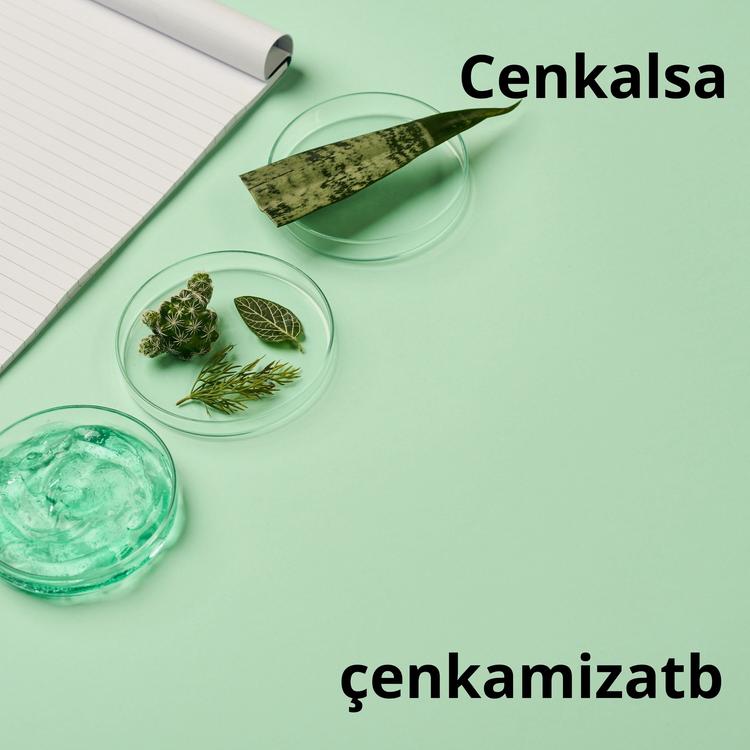 Cenkalsa's avatar image