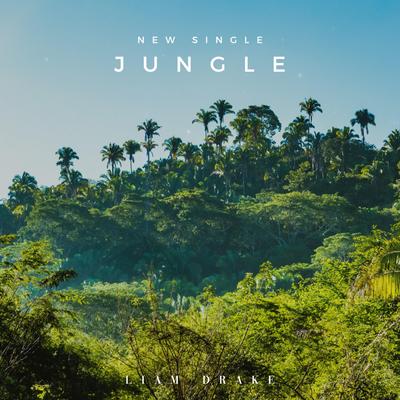 Jungle By Liam Drake's cover
