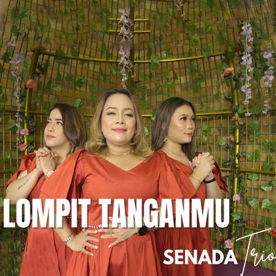 Senada Trio's cover