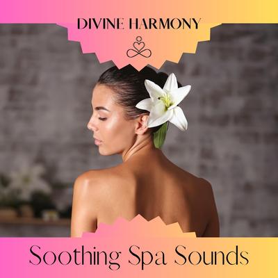 Harmony of Senses's cover