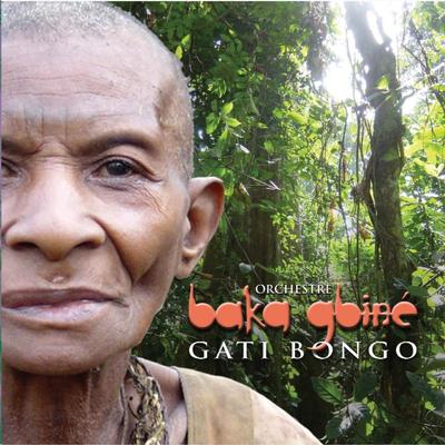 Orchéstre Baka Gbiné's cover