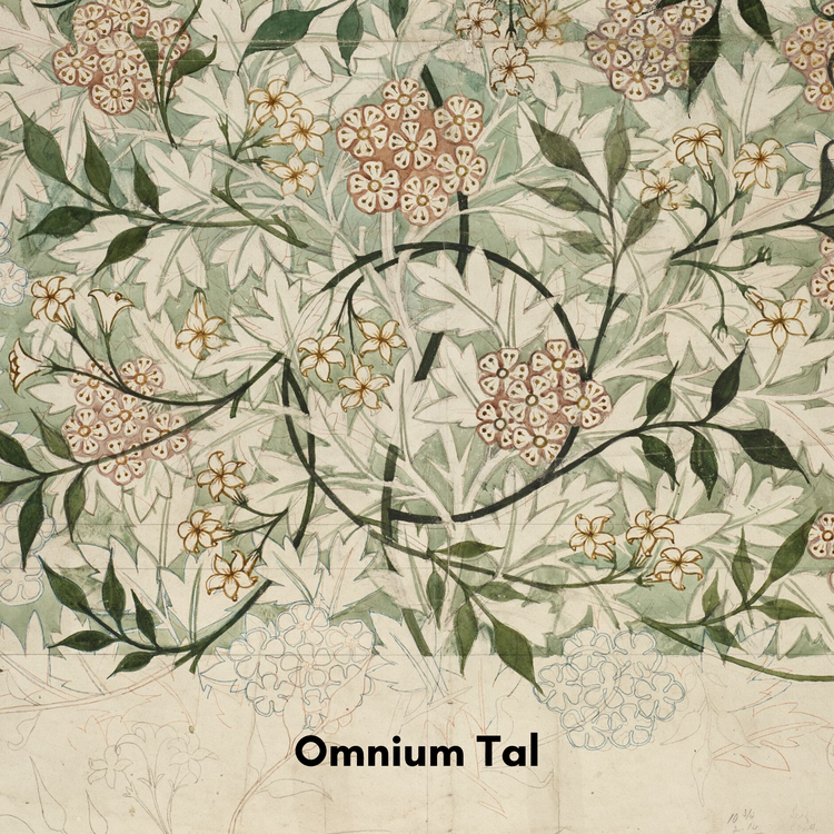 Omnium Tal's avatar image