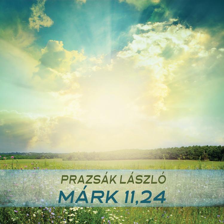 Prazsák László's avatar image